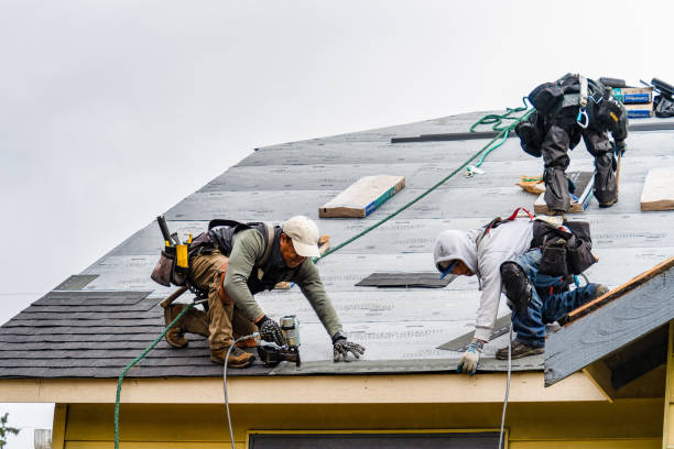 Professional Storm Damage Roof Repair technician working in Clive, IA